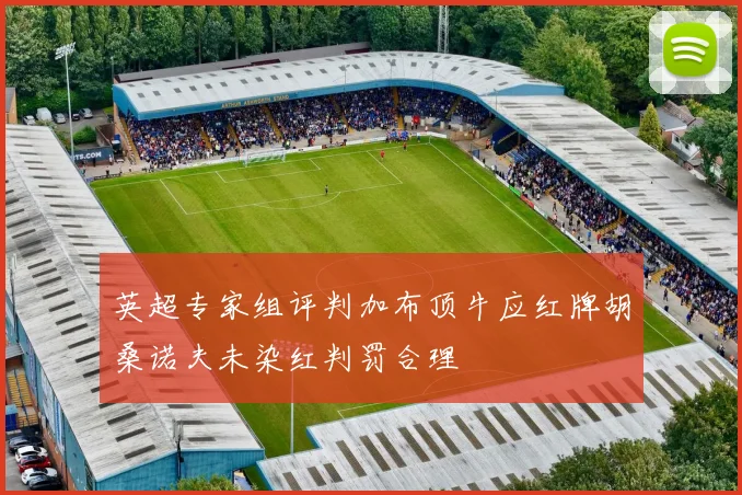 英超专家组评判加布顶牛应红牌胡桑诺夫未染红判罚合理
