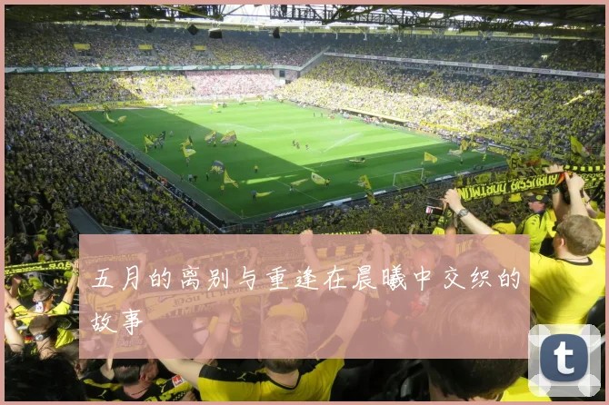 五月的离别与重逢在晨曦中交织的故事